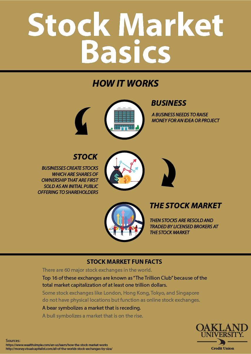 Infographic Stock Market Basics Financial 4 0