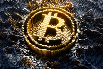 View Bitcoin: Currency of the Future or Fleeting Fantasy