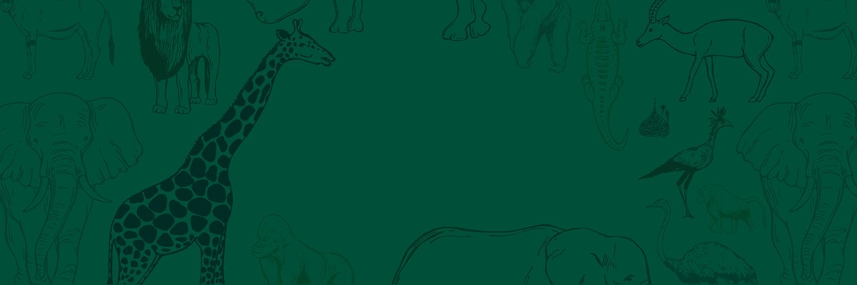 Enjoy a Day of Discovery, Laughter, and Safari-Themed Fun
