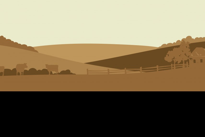 Explore Agribusiness Loans 