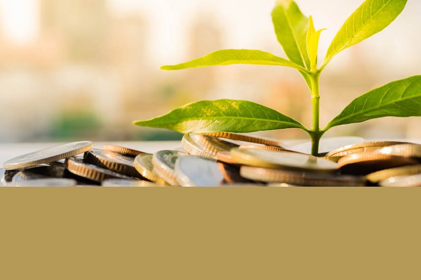 6-Month Certificate at 4.00% APY or More