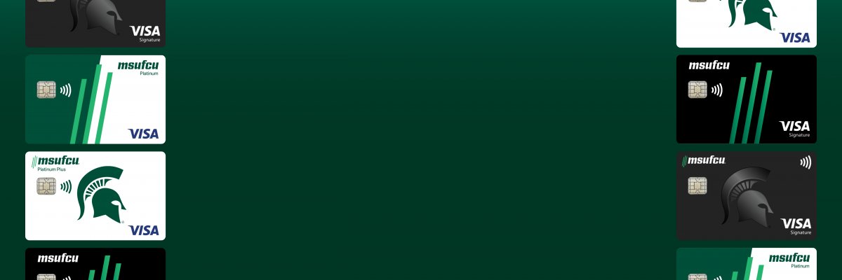 Visa Credit Card Options 