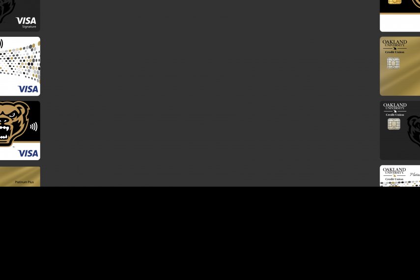 Visa Credit Card Options 