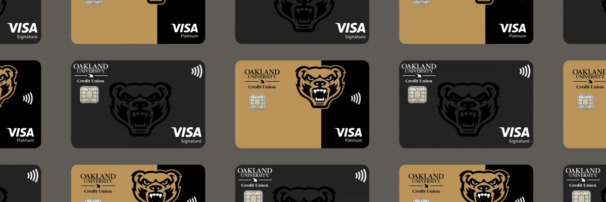 Visa, Accepted Everywhere 