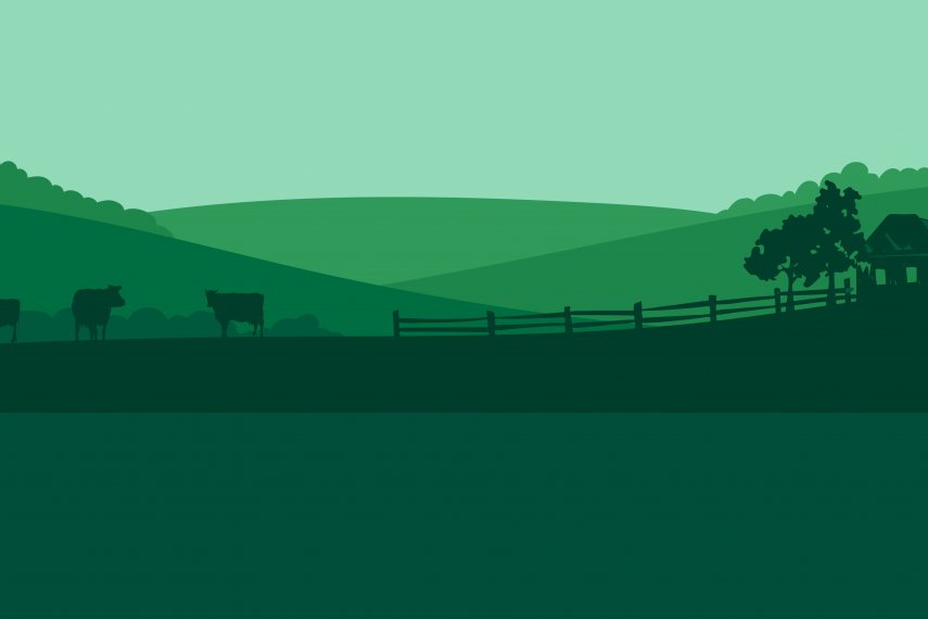 Explore Agribusiness Loans 