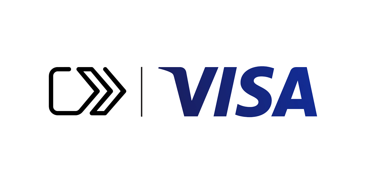 Visa Checkout Logo